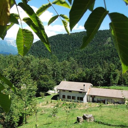 Bosco Delle Rune ..Un Angolo Di Paradiso Platischis Exteriér fotografie