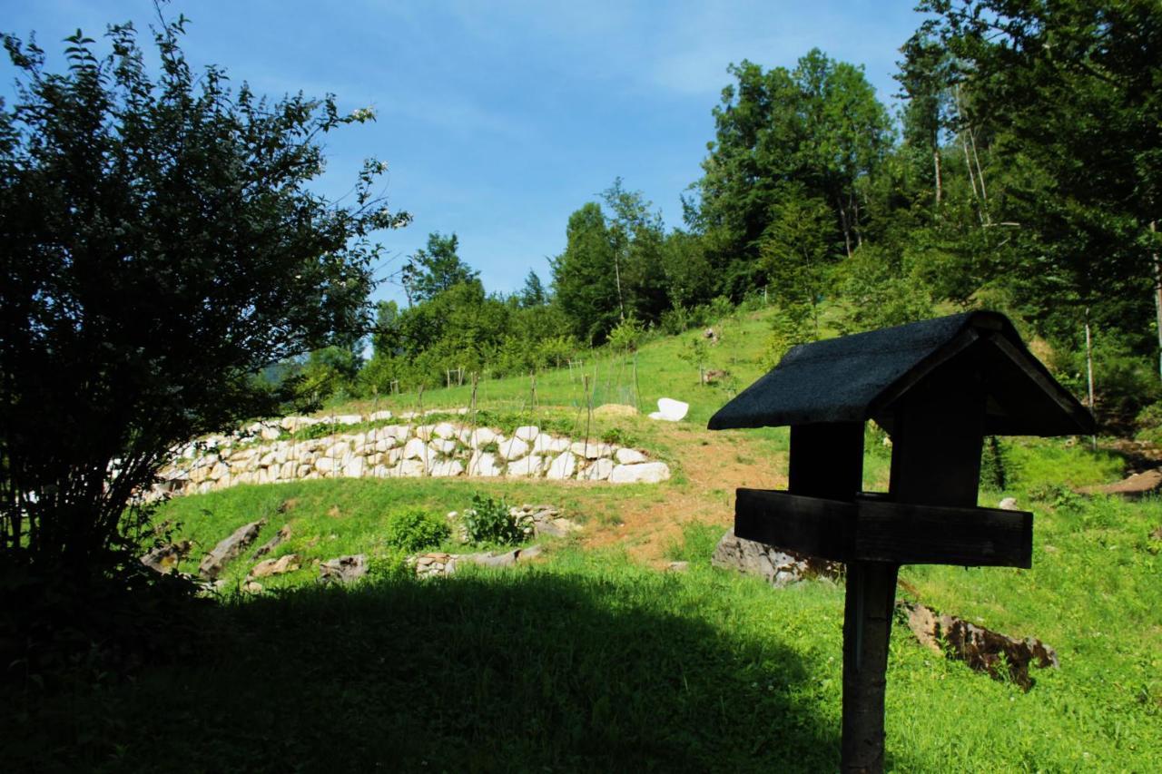 Bosco Delle Rune ..Un Angolo Di Paradiso Platischis Exteriér fotografie