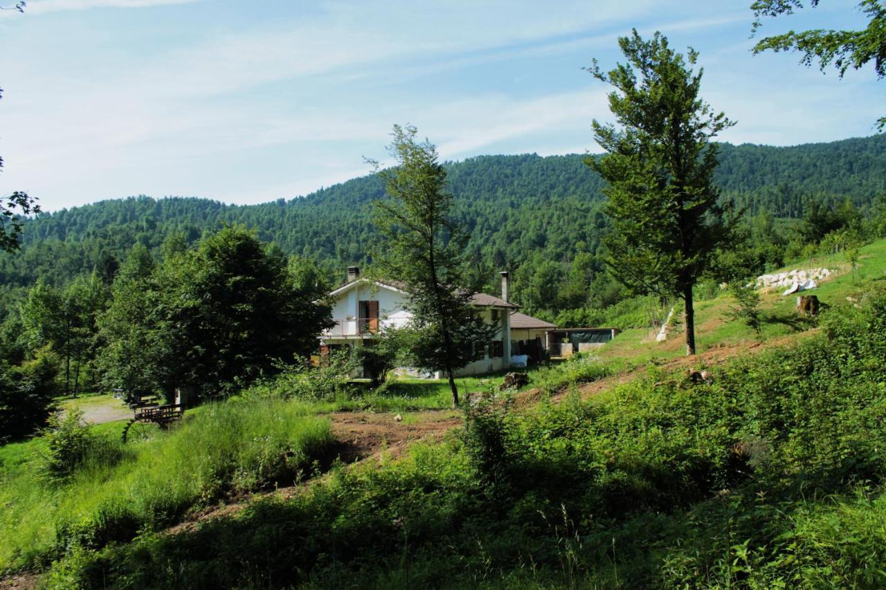 Bosco Delle Rune ..Un Angolo Di Paradiso Platischis Exteriér fotografie
